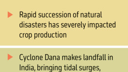 One natural disaster after another: How our agriculture, life are impacted