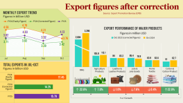 Infographics: TBS