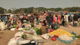 Vegetable sellers at Chougachha Boro Kacha Bazar in Jashore on 10 January 2024. Photo: Azizur Rahman/TBS