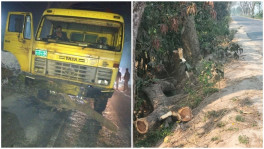 Photos show a truck stuck on the road [on left] and the tree trunk used by robbers to block the road [on right]. File Photo: TBS