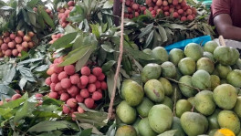 Seasonal fruits at a fruit stall. File Photo: BSS