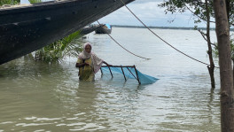 Women are forced to fish in saline waters every day, risking their health to provide for their families. Photo: TBS