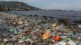 Bangladesh among top contributors to global marine plastic pollution: Report