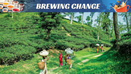 More than seventy-five years on, Chattogram remains the heart of Bangladesh's tea trade, hosting the majority of auctions. While new auction centres have opened in Srimangal (2018) and Panchagarh (2023), Chattogram's dominance is undiminished. Photo: Collected