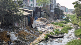 Waste disposal in Savar largely involves collecting household garbage and dumping it in open spaces. Photos: TBS
