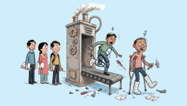 TBS Illustration