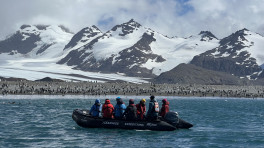 South Georgia: A world untouched 