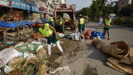 City corporation cleaners collect and clear sacrificial animal waste on Eid-ul-Adha afternoon along Mirpur Road in Dhaka. Photo: Rajib Dhar