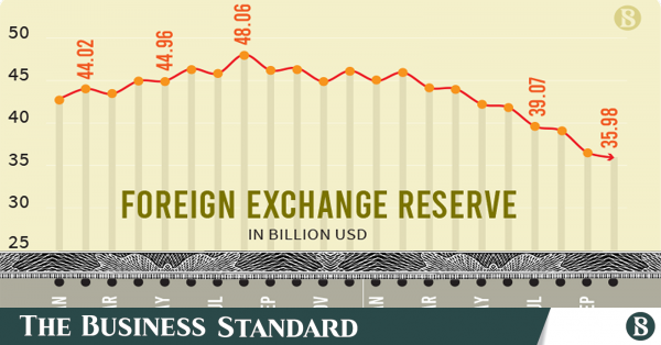 forex-reserves-fall-below-usd36b