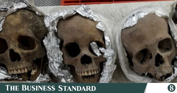 Autoridades mexicanas descubren cráneos humanos en paquete con destino a EE.UU.