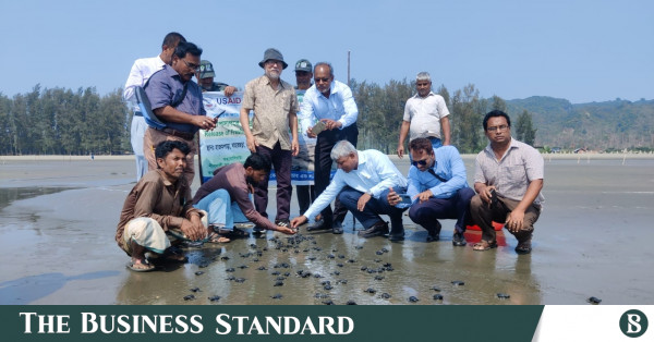113 tortugas golfina en peligro de extinción liberadas en la Bahía de Bengala