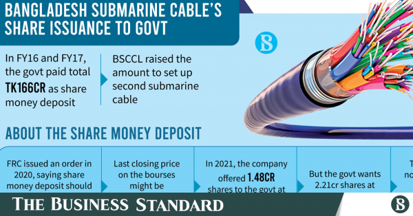 Guvernul vrea ca acțiunile companiei de cablu submarin să fie cu 66% sub prețul pieței